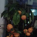 ���� ���������, �����-���������, 60 ��� - ��������� 19 ����� 2017 � ������ ���� ����������