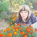 ���� �����, �������, 50 ��� - ��������� 4 ������� 2016