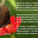 ���� �������, ����������� - ��������� 16 ������� 2017 � ������ ������ ��������