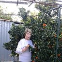  Romana, , 73  -  20  2016