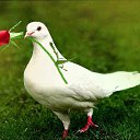 ���� Lera, ������, 74 ���� - ��������� 2 ������ 2016 � ������ ���� ����������