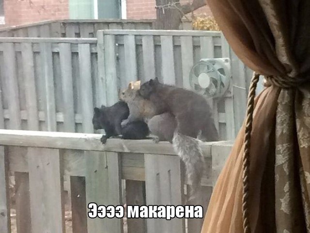   - 26  2017  15:22