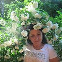 ���� ��������, ���� - ��������� 10 ������ 2017 � ������ ���� ����������