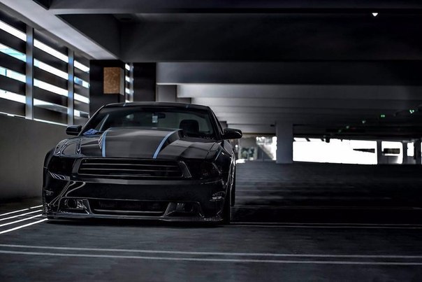 . . . Bagged Mustang GT 5.0 - 3