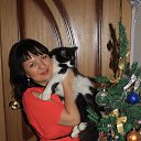 ���� ����, �����-���������, 48 ��� - ��������� 6 ����� 2017 � ������ ���� ����������