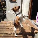 ���� ����, ������, 62 ���� - ��������� 22 ������� 2017 � ������ ���� ����������