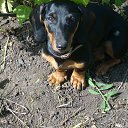 ���� Yusoup, ������, 70 ��� - ��������� 25 ������ 2017 � ������ ���� ����������