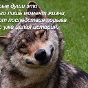 ���� �������, �������, 51 ��� - ��������� 20 ������� 2017 � ������ �������