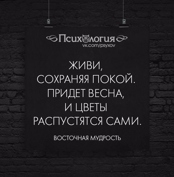  - 1  2017  08:32