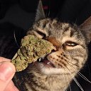 ���� �@r��v��, ������, 45 ��� - ��������� 27 ����� 2017 � ������ ������ ��������