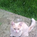 ���� Kirill, ������, 43 ���� - ��������� 2 ������� 2016 � ������ ������ ��������