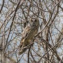 ���� ���, ������ ��������, 54 ���� - ��������� 14 ������� 2016 � ������ ���� ���� ������