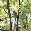 ������� ... ����������! �� ������� ���� ����������