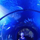 ���� ���������, ������ ���, 59 ��� - ��������� 31 ����� 2017 � ������ ������Ż