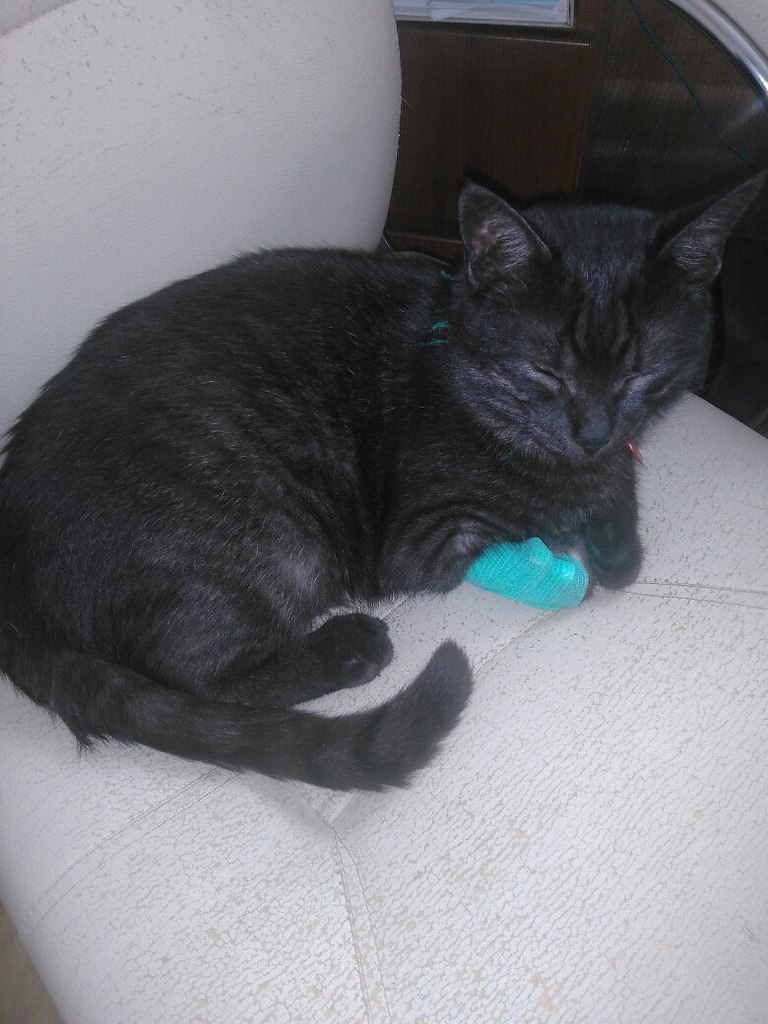 #_.  2015     ,      ... - 4