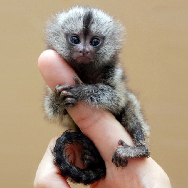 ���� �����. - 3