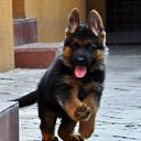 ���� Pascha, �������� - ��������� 19 ������� 2016 � ������ ������ ��������