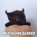 ���� �����, ������, 46 ��� - ��������� 24 ������� 2016 � ������ ���� ����������