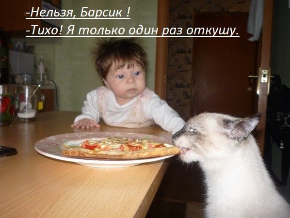    . https://fotostrana.ru/away?to=/sl/mW5