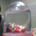 ���� �����, �����-���������, 54 ���� - ��������� 24 ������ 2017 � ������ ���� ����������