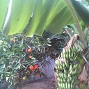 ��� ��� ������ ������ � ��������� � ������!!!))) �� ������� ���� ����������