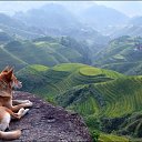 ���� ����, ������, 40 ��� - ��������� 12 �������� 2016 � ������ ������ ��������