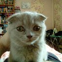 ��� ����� �� ������� ���� ����������