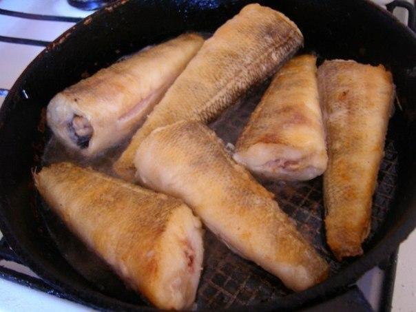  -. (, , , ) - 1.1    ... - 3