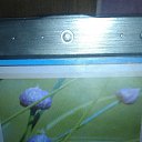 ���� ������, ������, 46 ��� - ��������� 26 ������� 2016 � ������ ���������