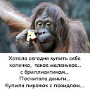 ���� ������, ������������ - ��������� 28 ������� 2016 � ������ ������ ��������