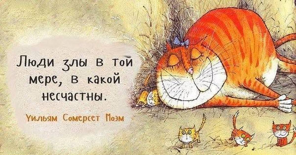 Счастье есть картинки прикольные