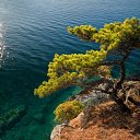 ���� Leonid, �����������, 60 ��� - ��������� 8 ������ 2016 � ������ ���� ����������