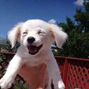 ���� ����, �����, 55 ��� - ��������� 25 ������ 2016 � ������ ������ ��������