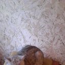 ���� ��������, ���������, 60 ��� - ��������� 13 �������� 2016 � ������ �������