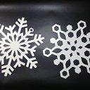 ���� ��������, ������, 43 ���� - ��������� 22 ������ 2017 � ������ �������� ������������ ���������