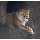 ���� Tarum, ������, 59 ��� - ��������� 23 ������� 2016 � ������ ���� ����������