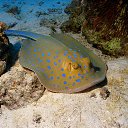 ���� ������, ������ - ��������� 23 ������� 2016 � ������ ����� ��� �������