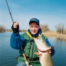 ˸��, ���������