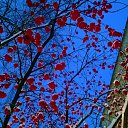 ���� ������, ���������, 45 ��� - ��������� 21 ������� 2016 � ������ ������ ��������