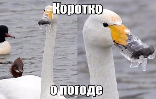    :-) - 28  2016  18:35