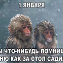 ���� ����, ������, 34 ���� - ��������� 2 ������ 2017 � ������ ������ ��������