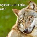 ���� ������, ������, 52 ���� - ��������� 25 ������ 2016 � ������ ���� ����������