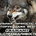 ���� �����, ���������, 33 ���� - ��������� 6 ������� 2017 � ������ ���� ����������