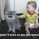 ���� �������, ��������� - ��������� 31 ������� 2016 � ������ ������ ��������