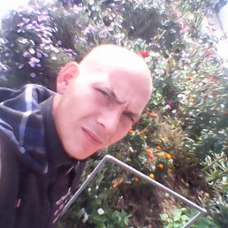 �������, ������-��-����, 57 ���