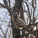 ���� ���, ������ ��������, 54 ���� - ��������� 14 ������� 2016 � ������ ���� ���� ������