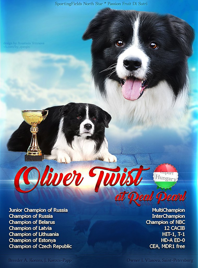 Dog Design by A. Temnova - https://fotostrana.ru/away?to=/sl/n1FПредставляет вам свои услуги создания коллажей! ... - 3