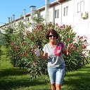 ���� �����, ���������� �����, 68 ��� - ��������� 4 ������� 2016 � ������ ���� ����������