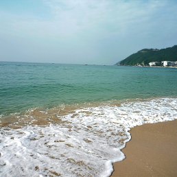 ���� ����, �����������, 53 ���� - ��������� 5 ������� 2017