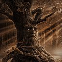 ���� �������, ���������, 47 ��� - ��������� 24 ������ 2017